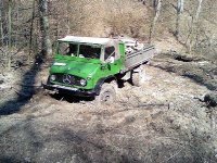 Im Wald 002.jpg