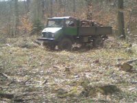 Im Wald003.jpg