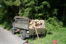 Wald 004.jpg
