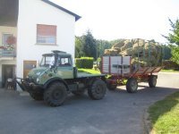 unimog heu2.jpg