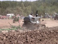 Lanz mit Vierscharer.JPG